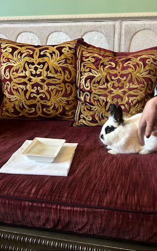 Comentarii opinii despre Albertine's Bar