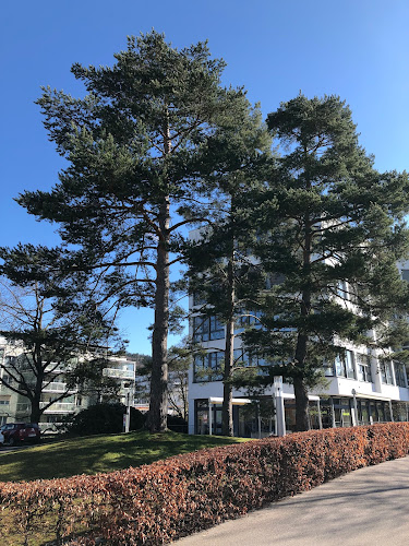 Opinii despre Allee Café în Muri bei Bern - Gastronomie und Hotellerie