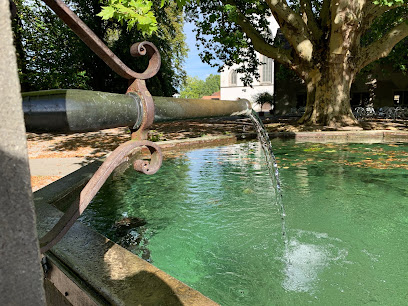 Cafeteria Platane - Stiftung FARO