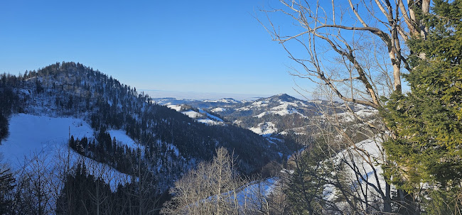 Alpwirtschaft Tierhag