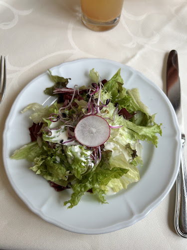 Comentarii opinii despre Hotel-Speiserestaurant Hallwyl AG