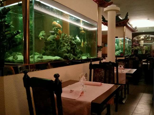 Comentarii opinii despre Le Canard Intelligent