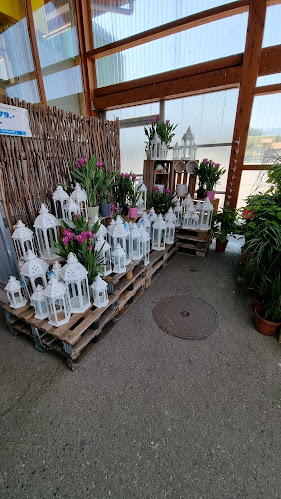 Comentarii opinii despre LANDI Niesen Genossenschaft