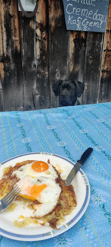 Opinii despre Alpwirtschaft Schornenrain în Sattel - Gastronomie und Hotellerie