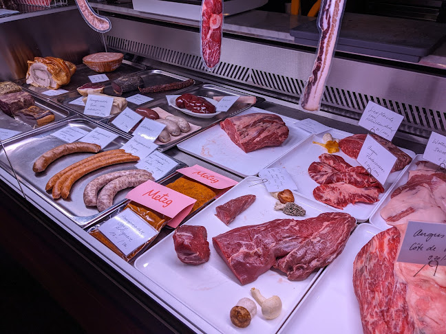 Comentarii opinii despre Metzg