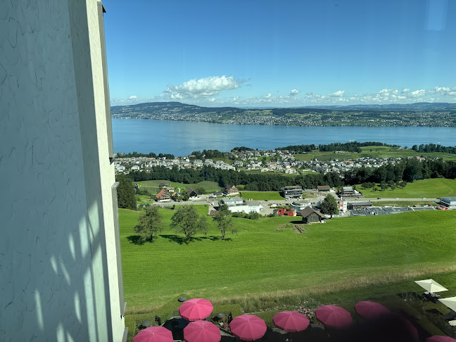 Comentarii opinii despre Collina