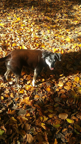 Jonasch-Abgottspon Confiserie - Gastronomie und Hotellerie