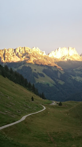 Opinii despre Ritzli-Alp în Jaun - Gastronomie und Hotellerie