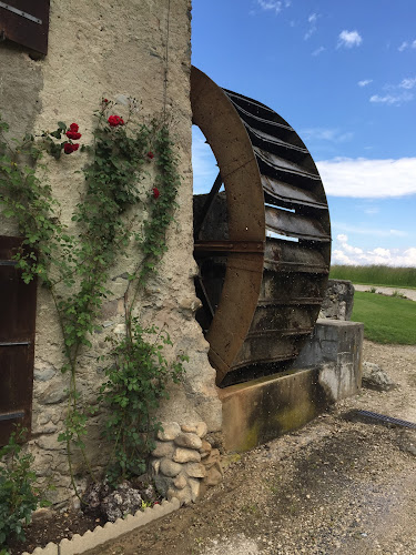 Comentarii opinii despre Domaine Le Moulin