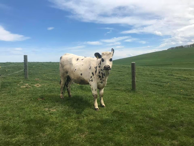 Opinii despre Ferme des Pierres în Villargiroud - Gastronomie und Hotellerie