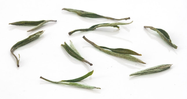 Comentarii opinii despre TeaMania