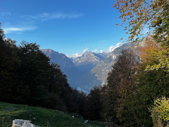 Comentarii opinii despre Osteria/Grotto Monti Motti