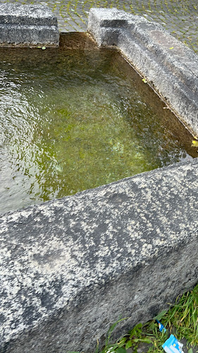 Falkenplatz Take Away - Bern