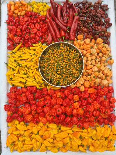 Comentarii opinii despre Sennjoeggel.ch