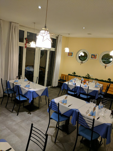 Comentarii opinii despre D'Antonio