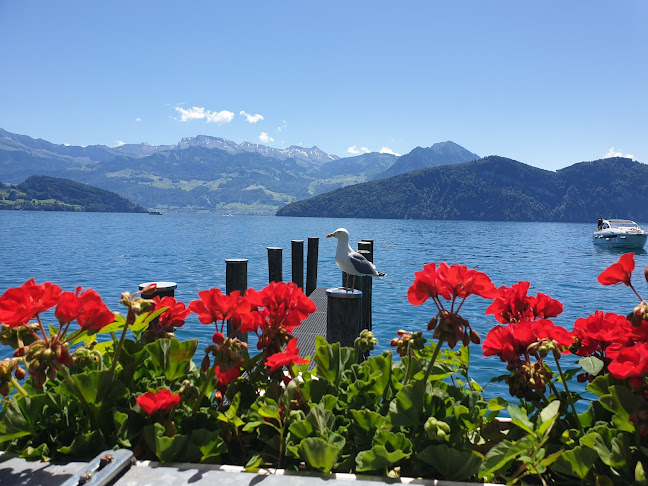 Kantonsstrasse 84, 6353 Weggis