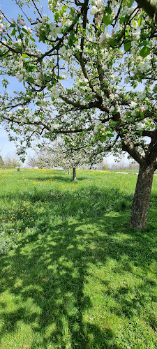 HofCafe - Gastronomie und Hotellerie