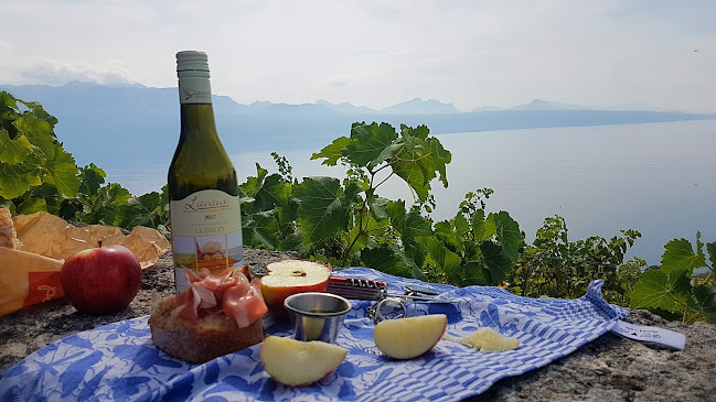 Chem. du Daley 119, 1095 Bourg-en-Lavaux