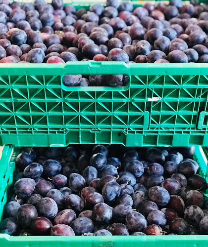 Comentarii opinii despre Peppone Catering