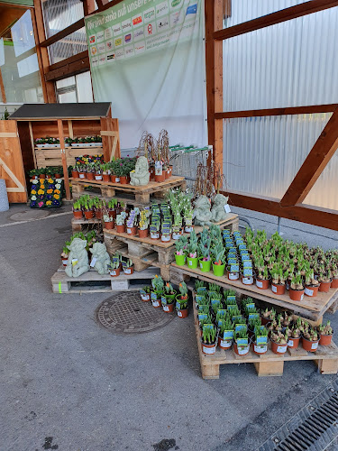 Opinii despre LANDI Niesen Genossenschaft în Thierachern - Gastronomie und Hotellerie