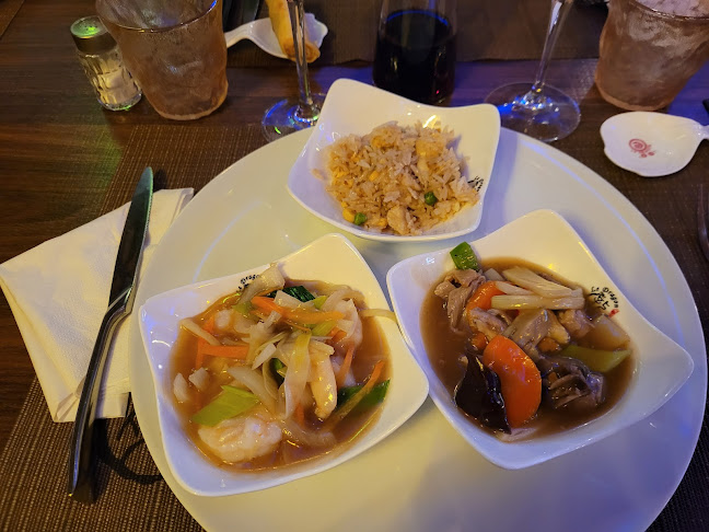 Comentarii opinii despre Dragon