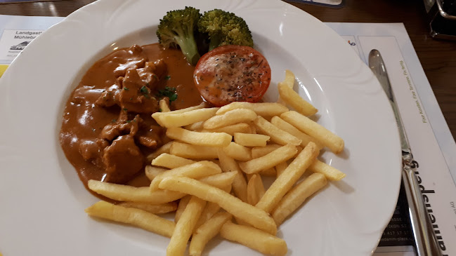 Comentarii opinii despre Landgasthof Mühlebach