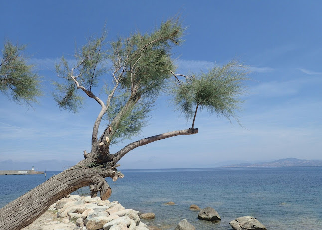 Comentarii opinii despre Bar le Sportif