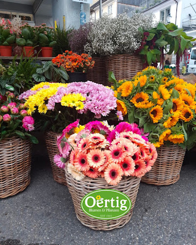 Wochenmarkt Winterthur - Winterthur