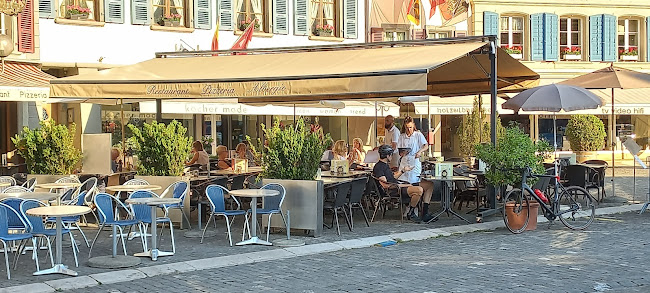 Comentarii opinii despre Albergio