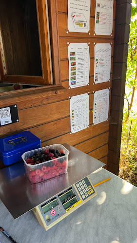 Comentarii opinii despre Self-Fruits Perroud