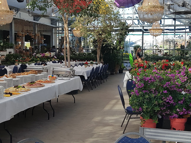 Ehriker Beck - Russikon