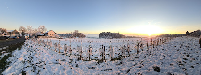 Opinii despre Wirtschaft Stelzenhof AG în Weinfelden - Gastronomie und Hotellerie
