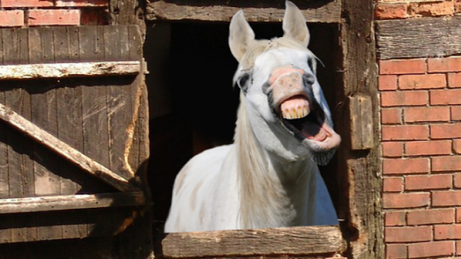 Wiesenstraße 4, 78462 Konstanz, Deutschland