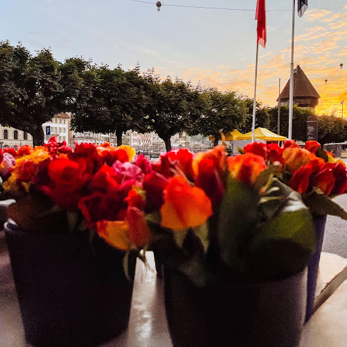 Comentarii opinii despre Weggiser Rosen Pfrunder