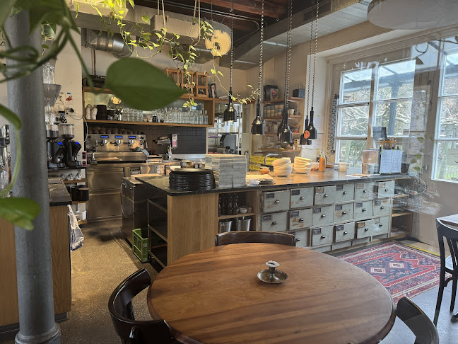 Comentarii opinii despre Ecluse