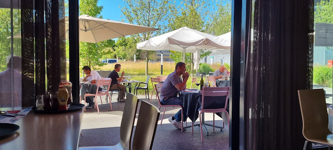 Comentarii opinii despre Y-Parc