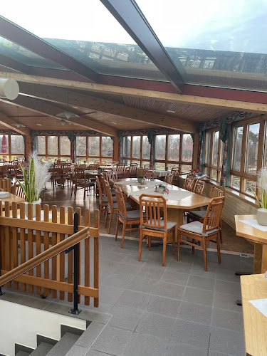 Wirtschaft Stelzenhof AG - Gastronomie und Hotellerie