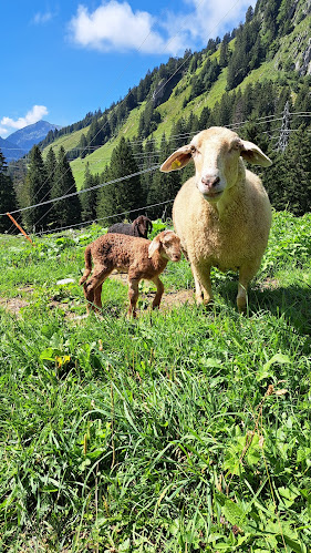 Comentarii opinii despre Ritzli-Alp