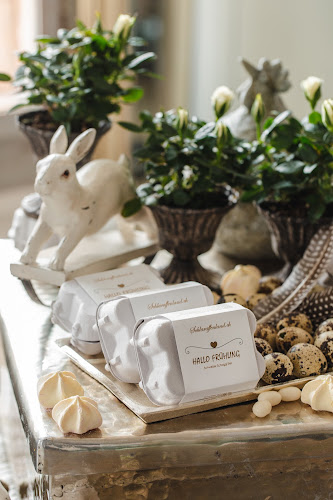 Comentarii opinii despre Schlaraffenland Handels GmbH