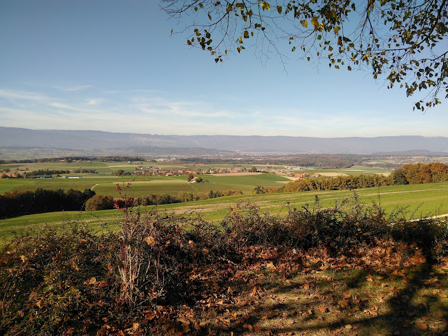 Comentarii opinii despre Bistro Hirschen