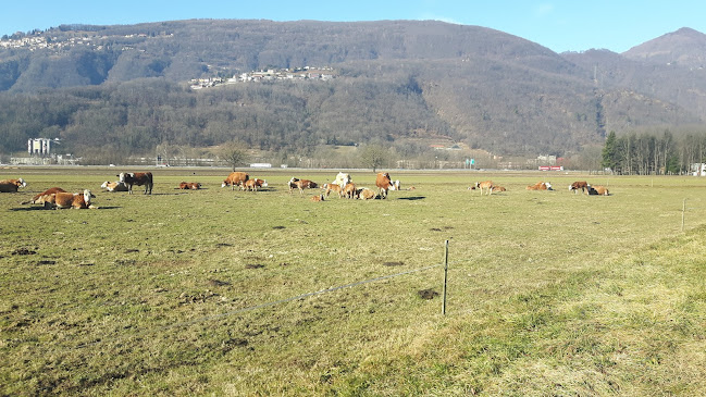 Comentarii opinii despre Tenuta Bally & von Teufenstein