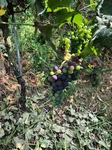 Badiweg 5, 4665 Oftringen