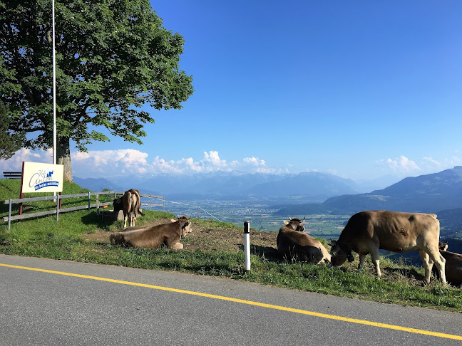 St. Antonstrasse 68, 9413 Oberegg