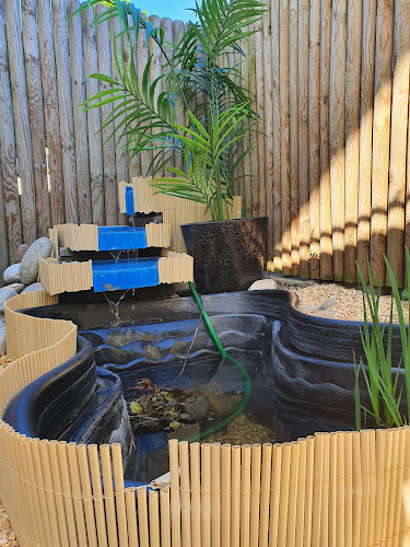 Comentarii opinii despre Asia Lunch