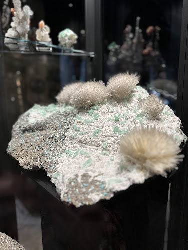 Dino-Beiz'li - Seegräben