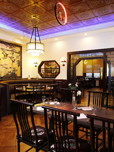 Dragon - Chavannes-près-Renens