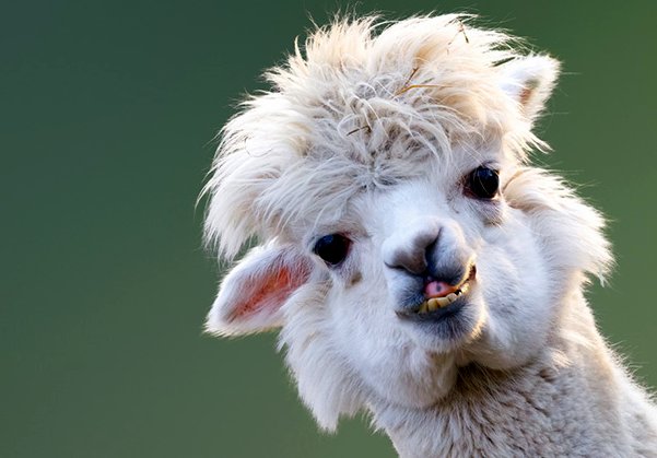 Opinii despre Altersheim + Pflegeheim Ruttigen în Olten - Gastronomie und Hotellerie