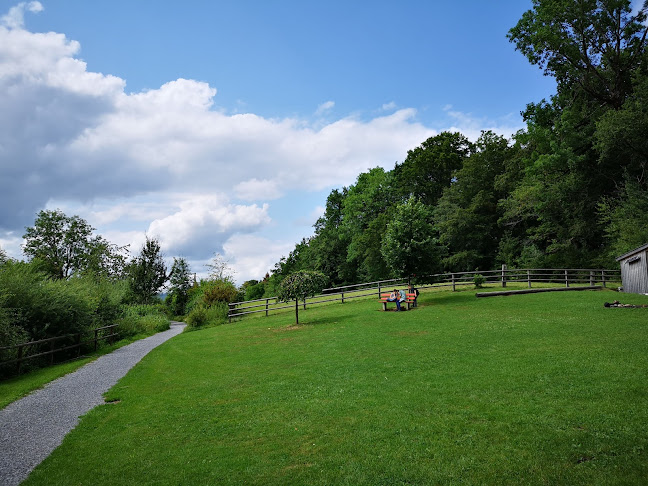 Restaurant Kreuz Horgenberg - Gastronomie und Hotellerie