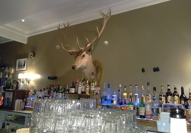 Comentarii opinii despre Platzhirsch