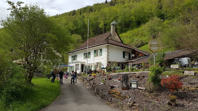 Bergwirtschaft Dürstel - Gastronomie und Hotellerie
